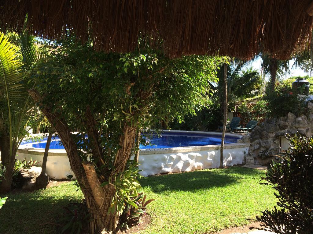 Hotel Que Onda Akumal Exteriér fotografie