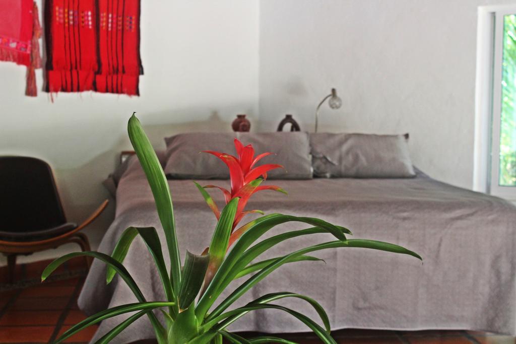 Hotel Que Onda Akumal Exteriér fotografie